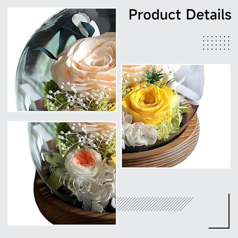 قبة زهرة الورد الشمبانيا المجففة يدويًا مع قاعدة خشبية هدية لعيد الحب والتخرج - Image 2